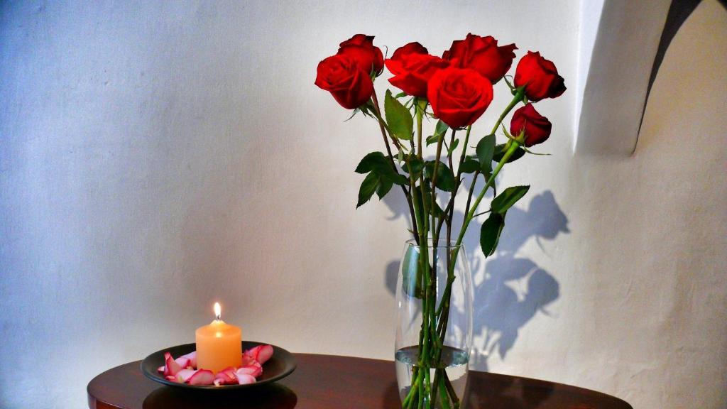 Casa De Las Rosas Cuenca Ngoại thất bức ảnh