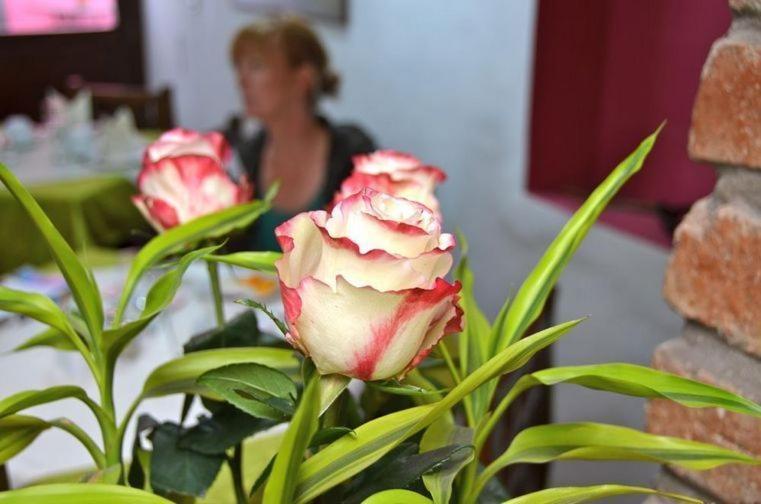 Casa De Las Rosas Cuenca Phòng bức ảnh